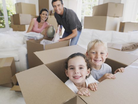 Professional packing service preparing household boxes in Stanmore
